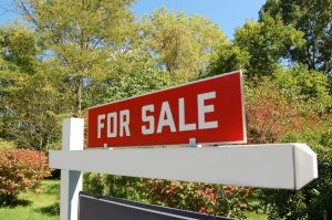 terrain vendre rive sud courtier