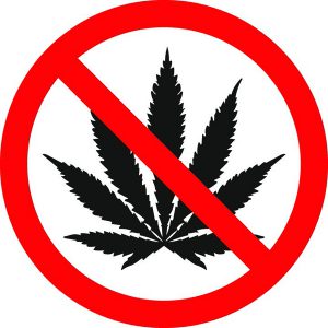 interdire-cannabis-logement-comment-faire