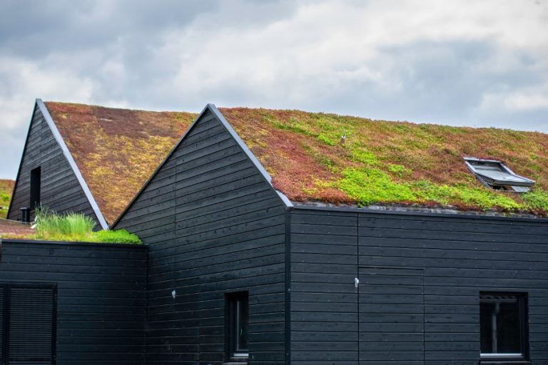 maison ecologique toit vert